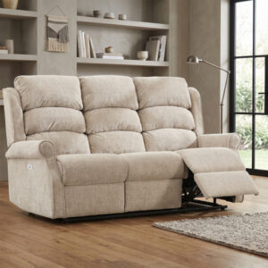 Regency 3 Seater Electric Rabbit